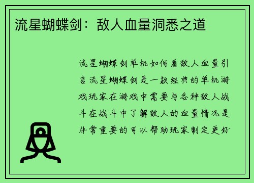 流星蝴蝶剑：敌人血量洞悉之道